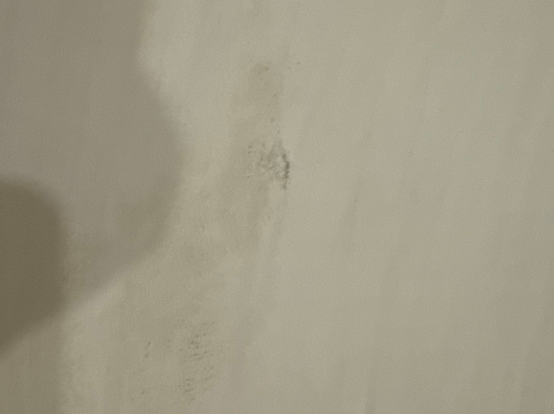 哈立德瓦尔雷内斯特酒店主图