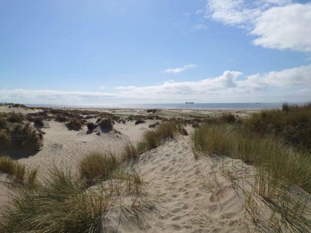Zandvoort Aan Zee-赞德沃特必去景点