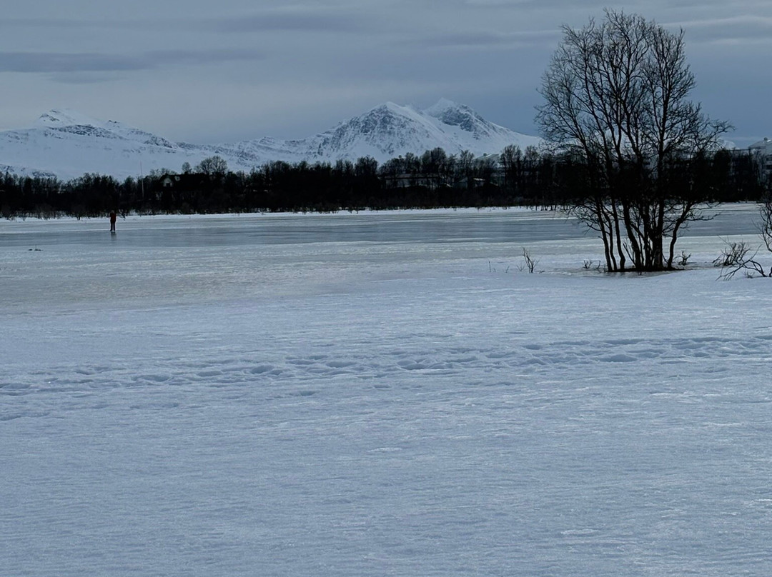 Prestvannet Lake-特罗姆瑟必去景点