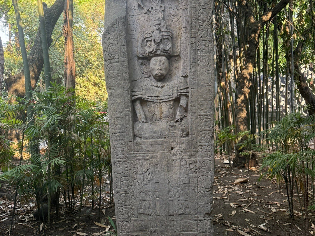 国家人类学博物馆 (Museo Nacional de Antropologia)-墨西哥城必去景点