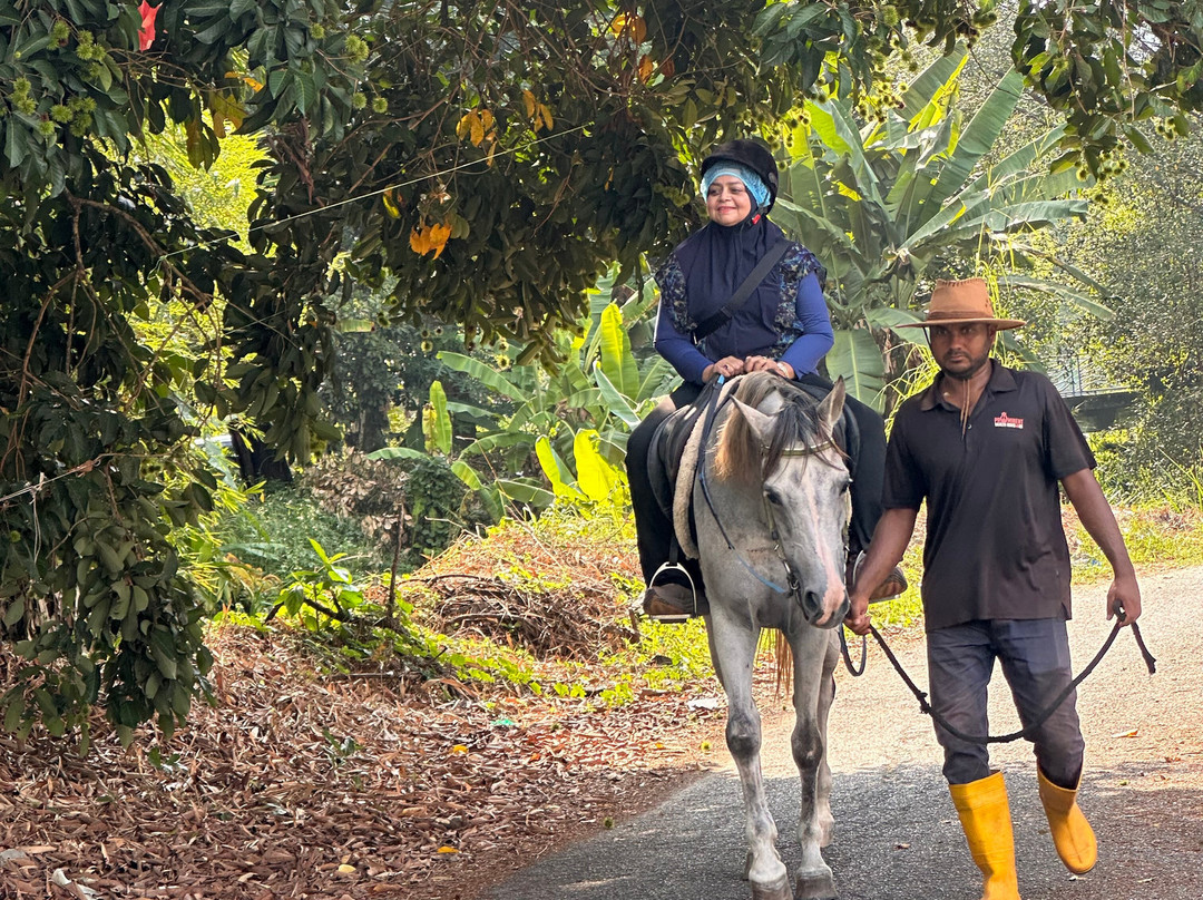 Prominent Stables & Recreation Sdn Bhd-浮罗山背必去景点
