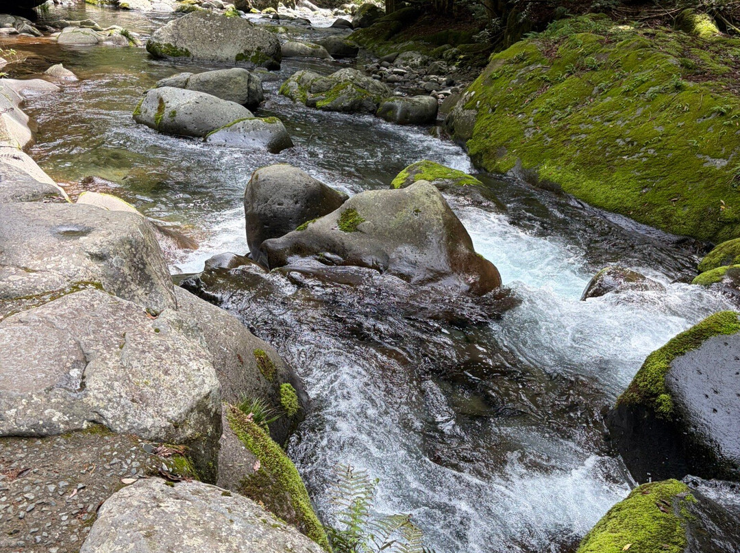 Odaru Kawzu Seven Waterfalls-河津町必去景点
