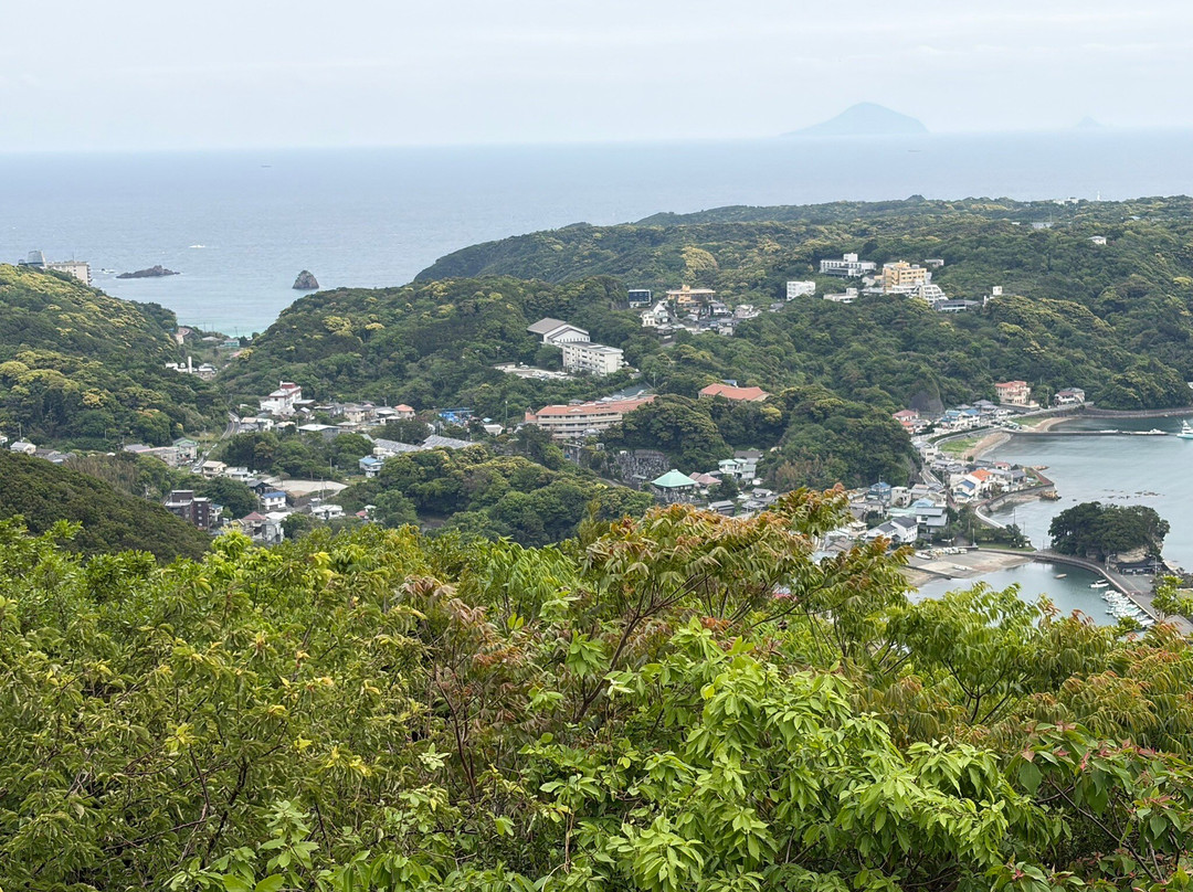 Jogasaki Beach Picnical Course-伊东市必去景点