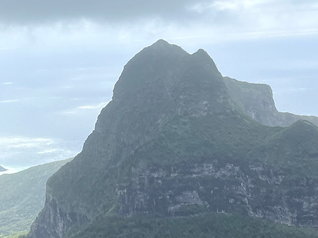 Mt Gower-豪勋爵群岛必去景点