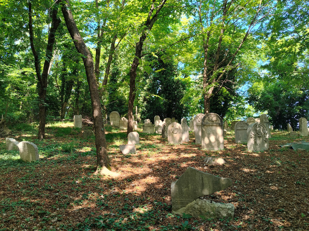 Antico Cimitero Ebraico di Conegliano-科内利亚诺必去景点