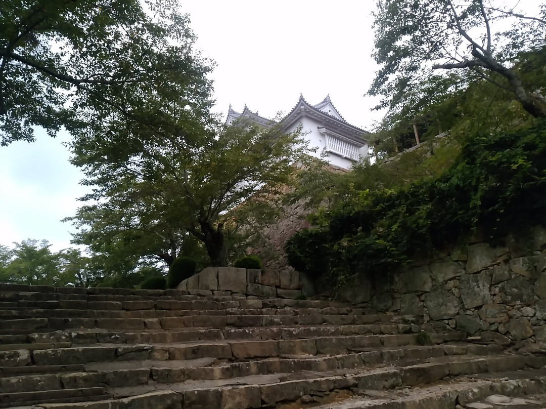Tsuyama Castle (Kakuzan Park)-津山市必去景点