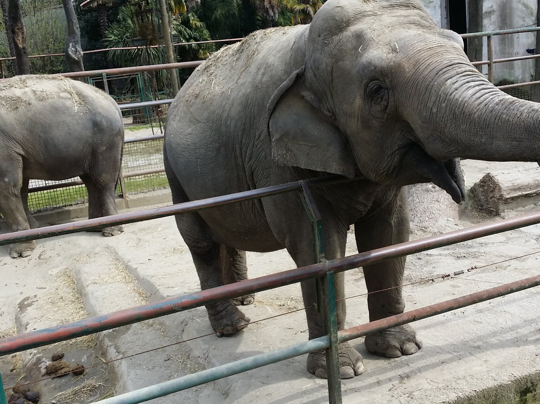 Giardino Zoologico Di Pistoia-皮斯托亚必去景点