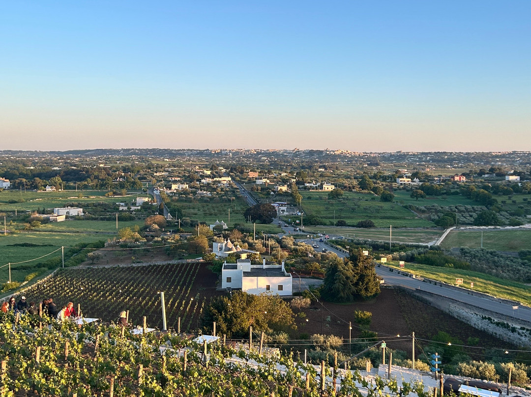 Azienda Agricola Bufano-洛科罗通多必去景点