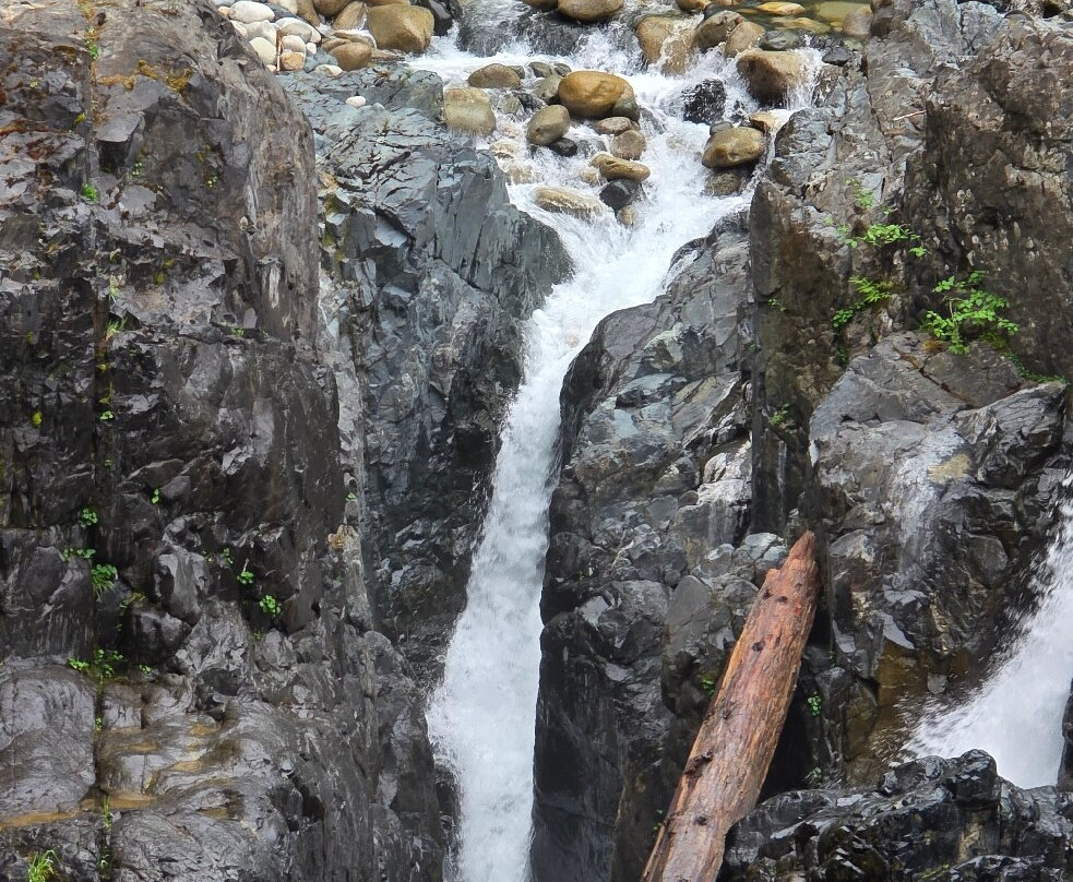 Englishman River Falls Provincial Park-Errington必去景点