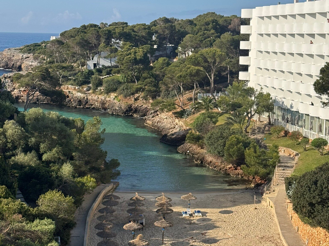 AluaSoul Mallorca Resort - Adults Only主图