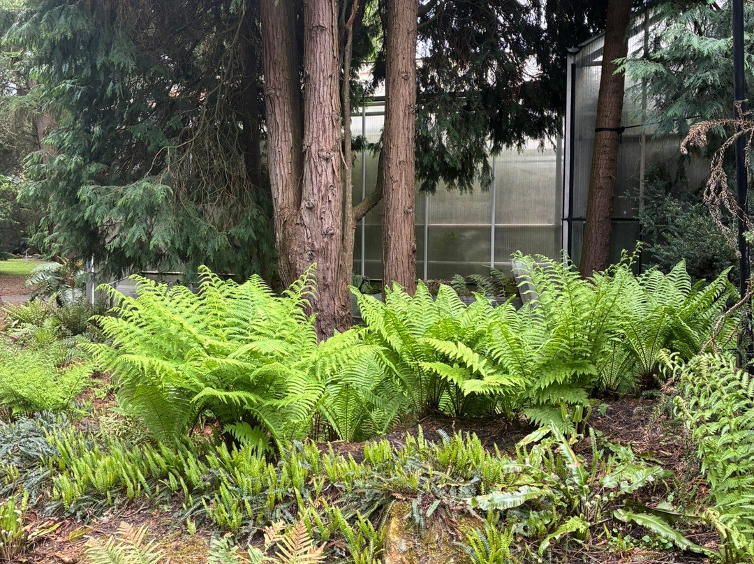 Pinetum Blijdenstein-Hilversum必去景点