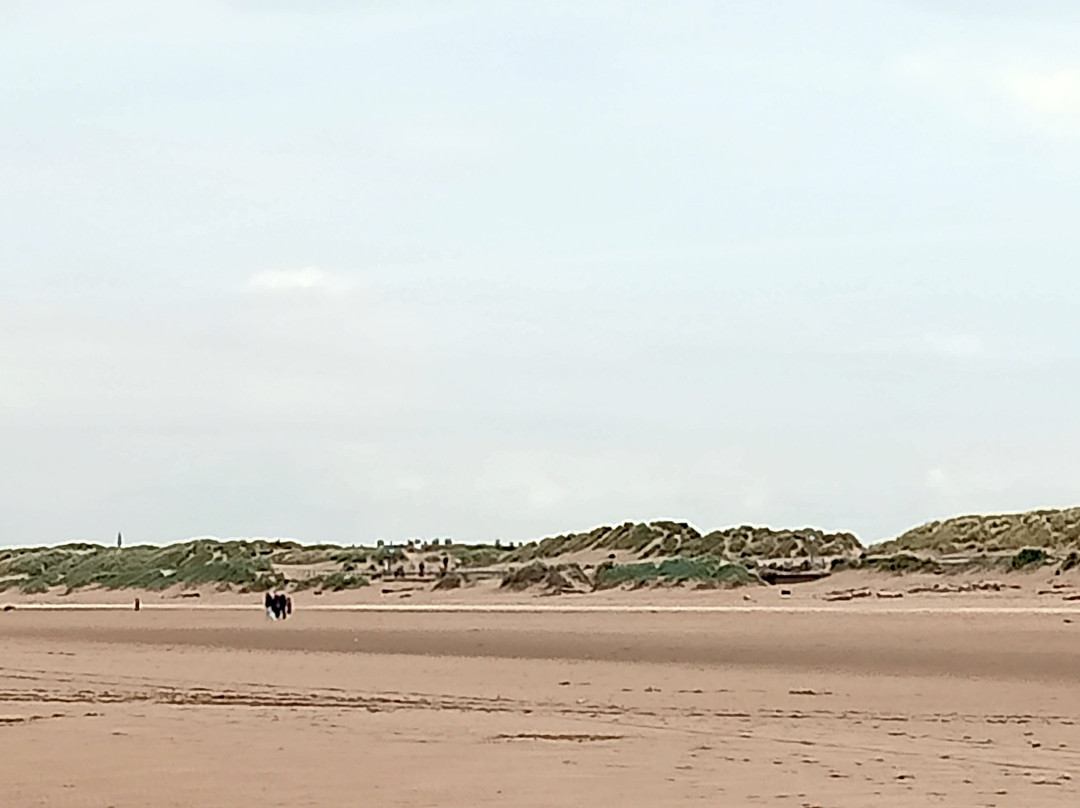 Crosby Beach-克罗斯比必去景点