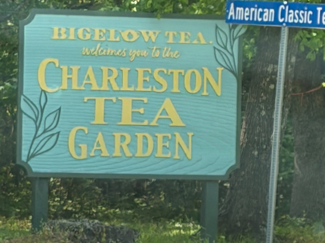 Charleston Tea Garden-Wadmalaw Island必去景点