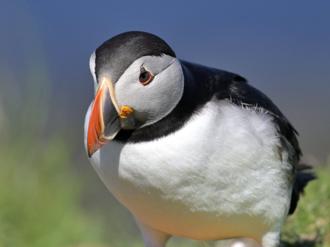 Mull Wildlife Breaks-Salen必去景点