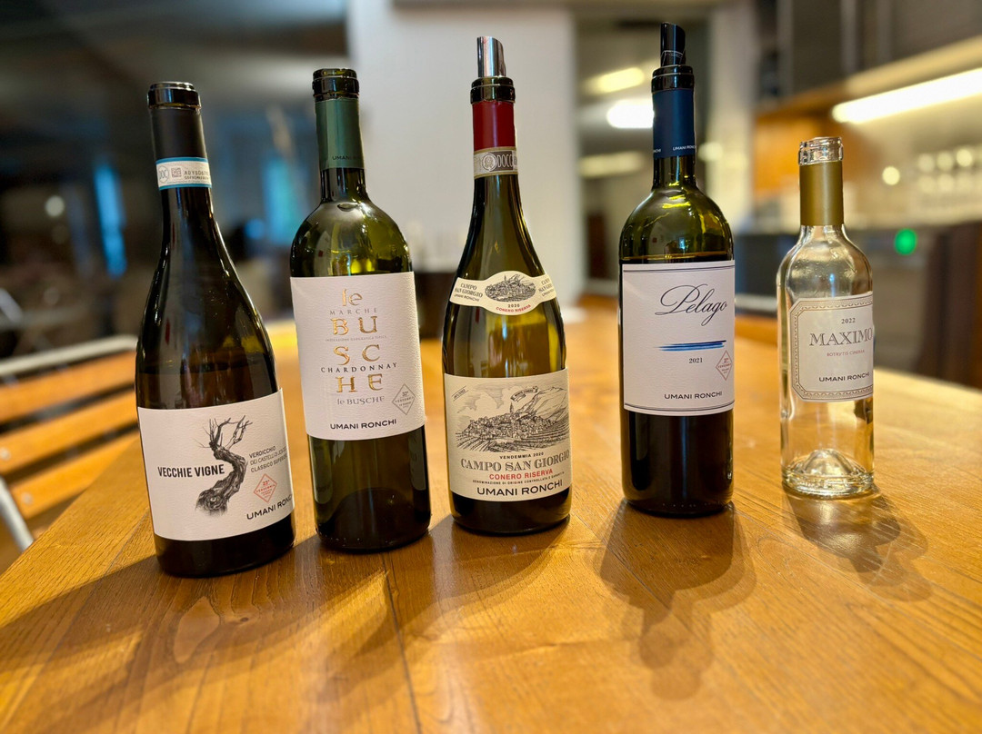 Umani Ronchi Winery-奥西莫必去景点