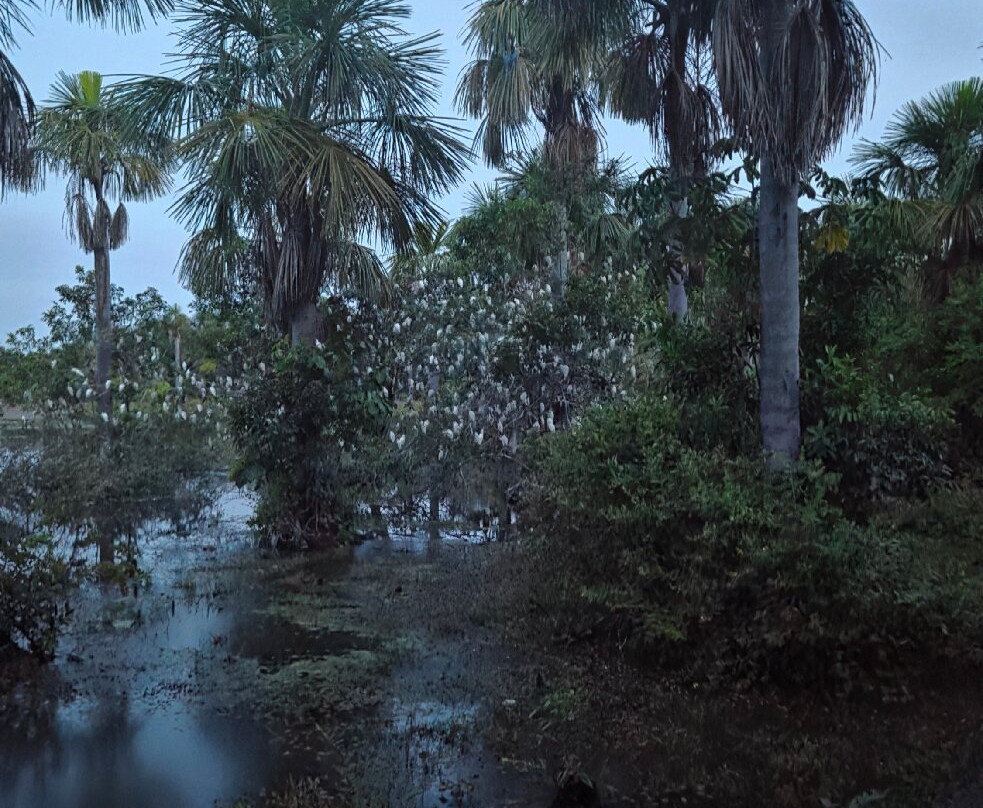Lagoa das Araras-诺布里斯必去景点