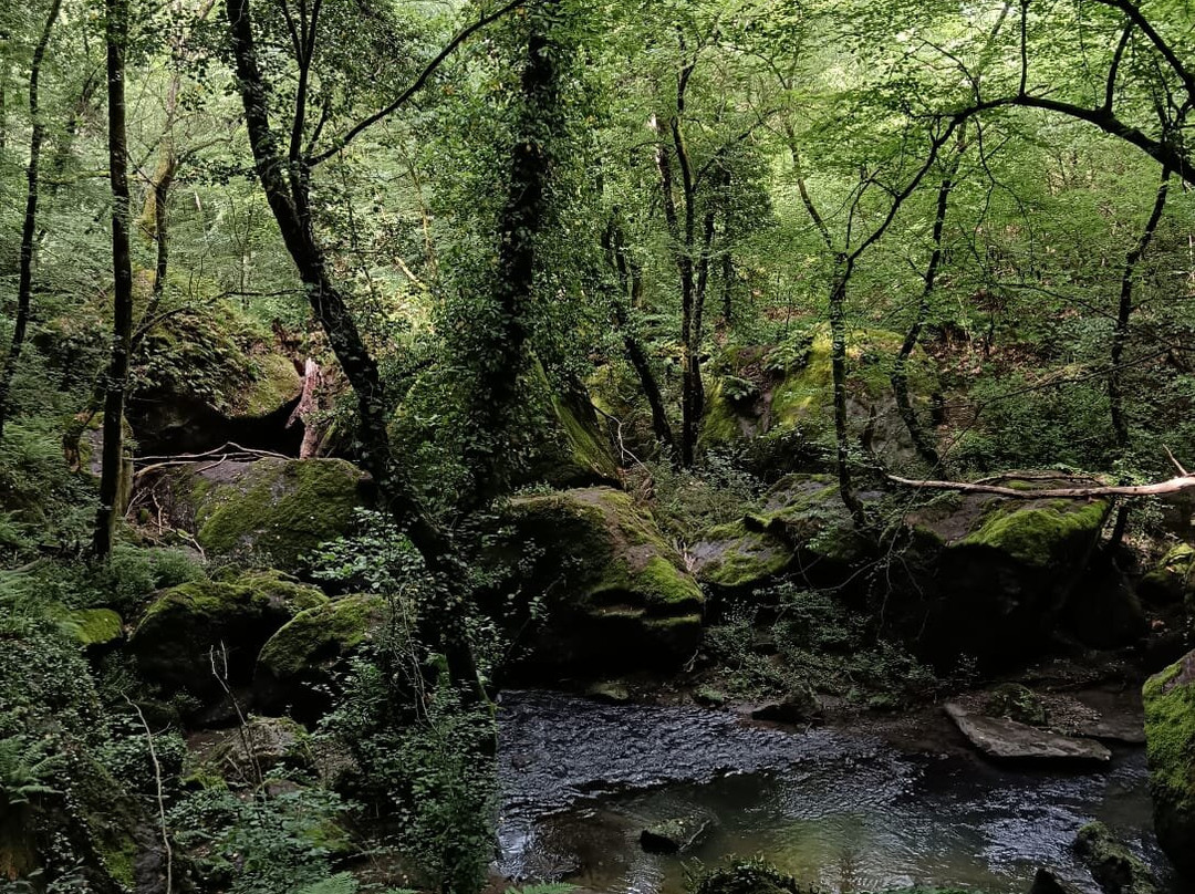 Parco delle Cascate di Chia del Fosso Castello-Chia必去景点