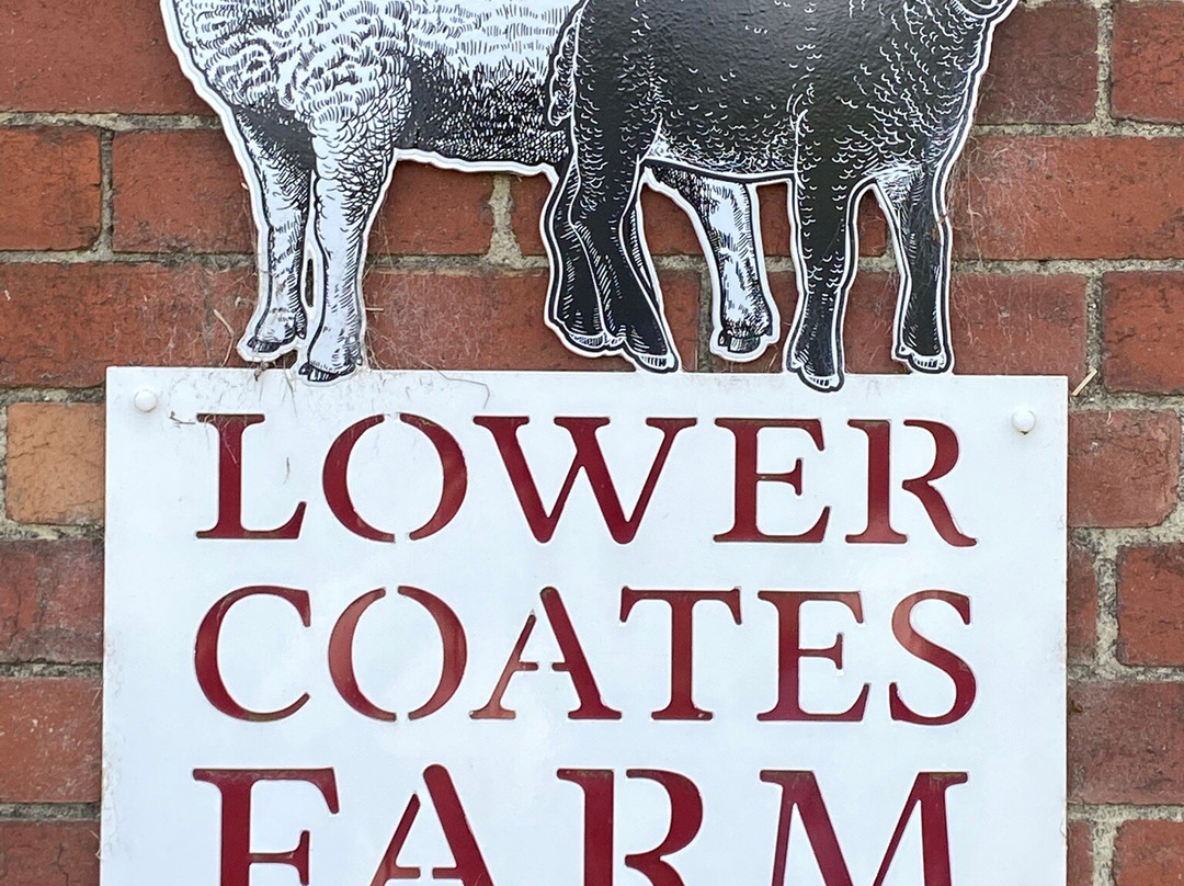 Walking the goats at Lower Coates-巴恩斯利必去景点