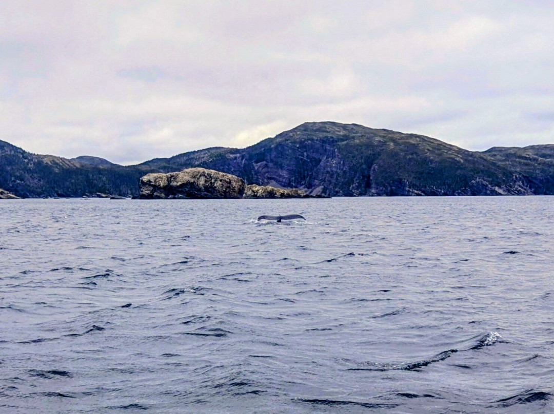Trinity Eco-Tours-Trinity必去景点