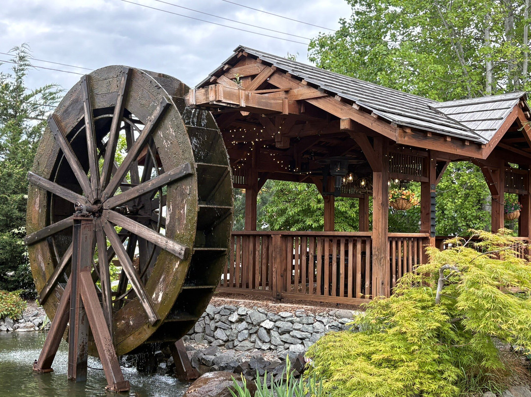 Mill Haus Cider Co.