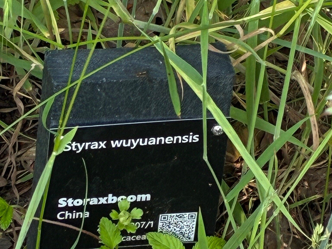 Belmonte Arboretum Wageningen-瓦赫宁恩必去景点