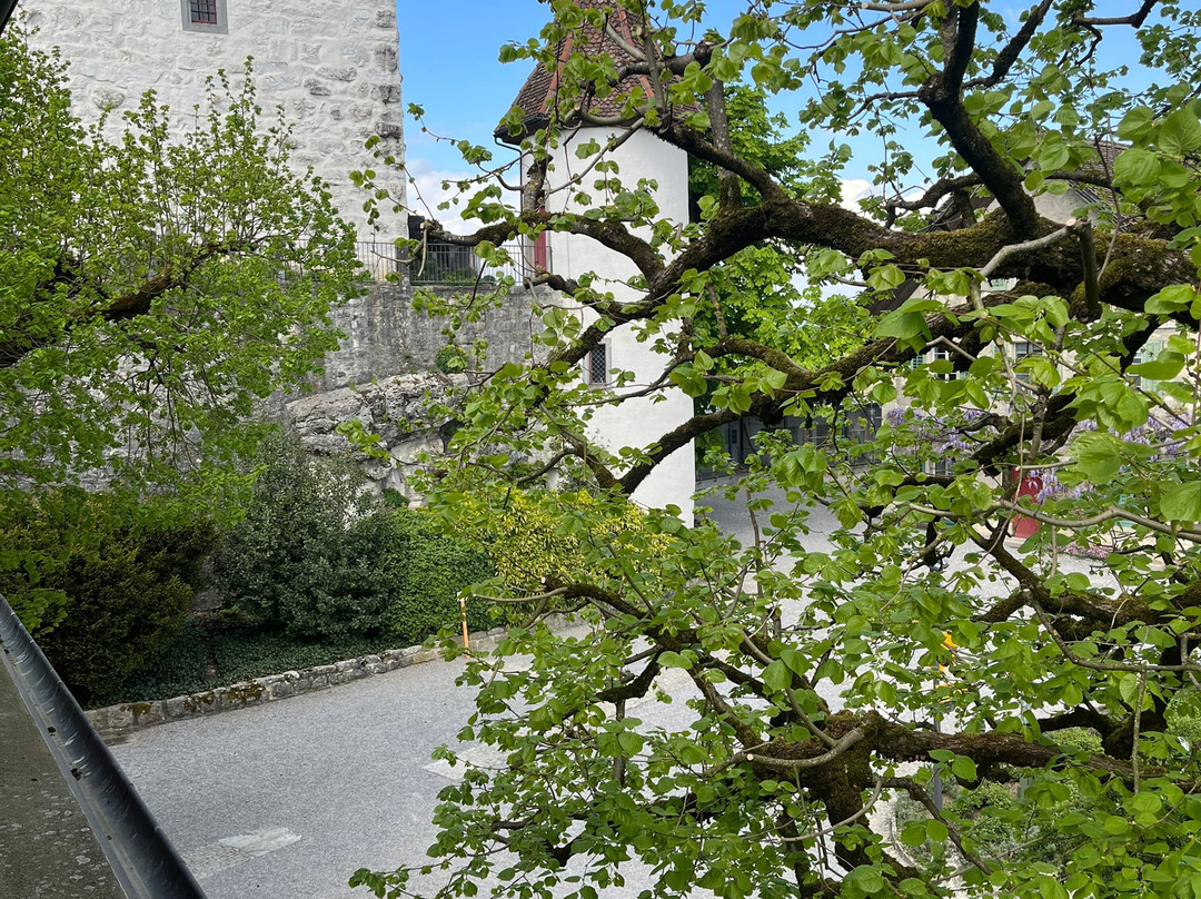 Schloss Wildegg-Wildegg必去景点