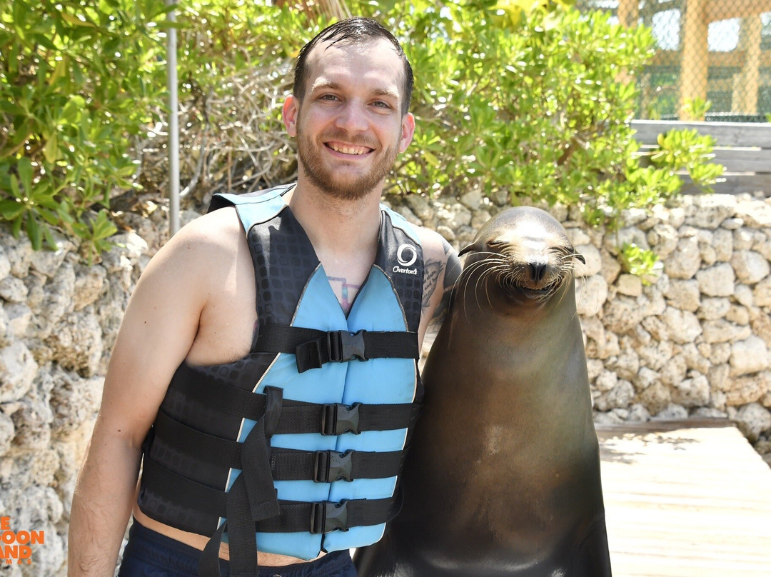 Sea Lion Encounter at Blue Lagoon-拿骚必去景点