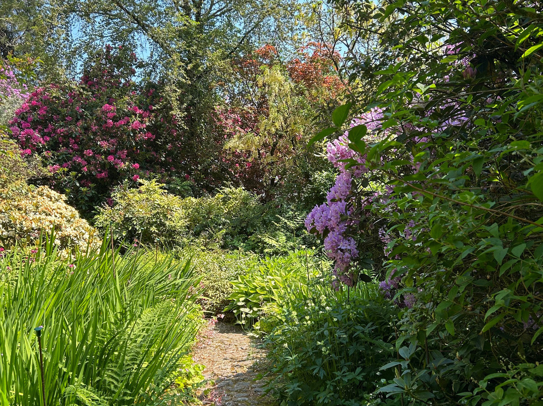 Llysdinam Gardens-Newbridge-on-Wye必去景点