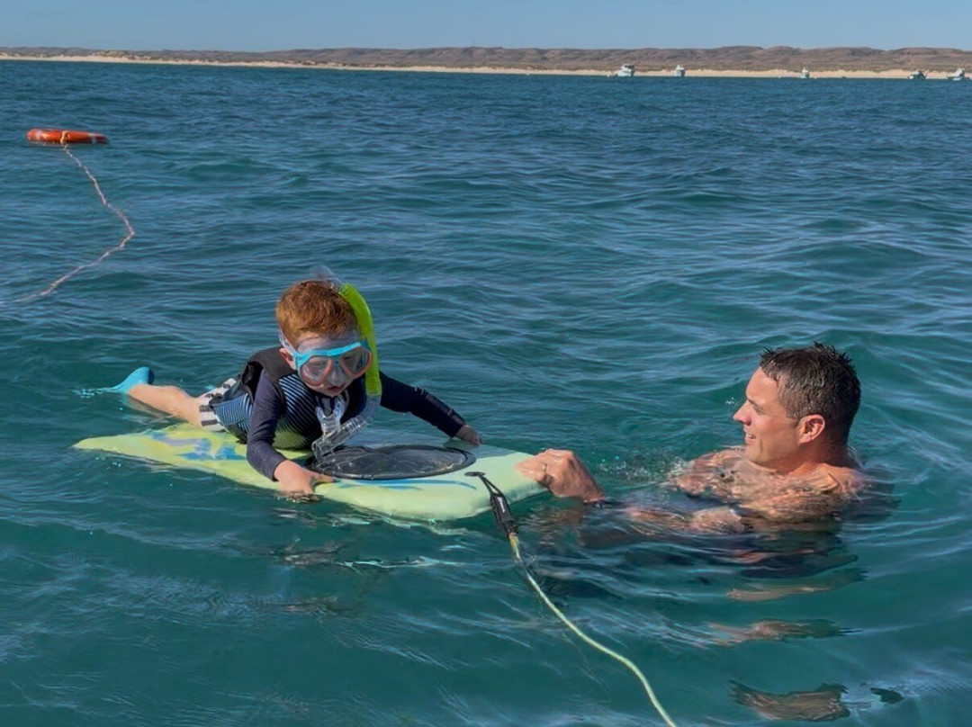 View Ningaloo-埃克斯茅斯必去景点