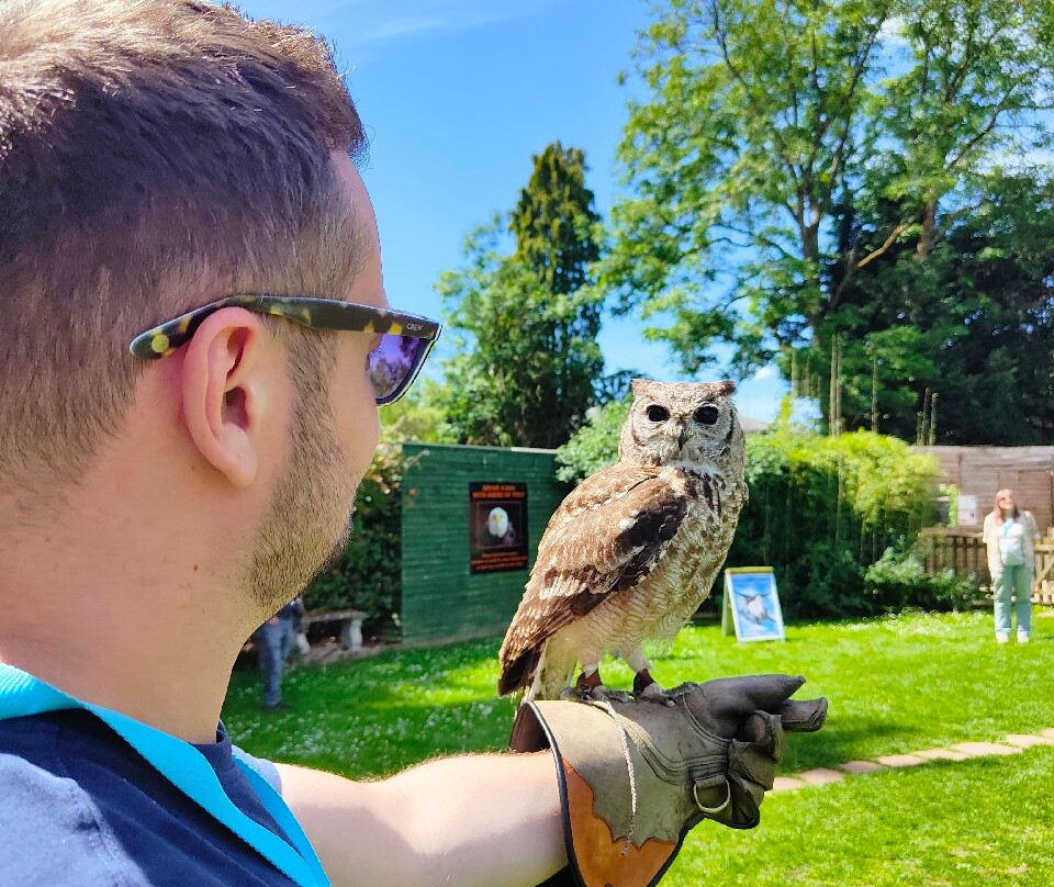 The Falconry Centre-Hagley必去景点