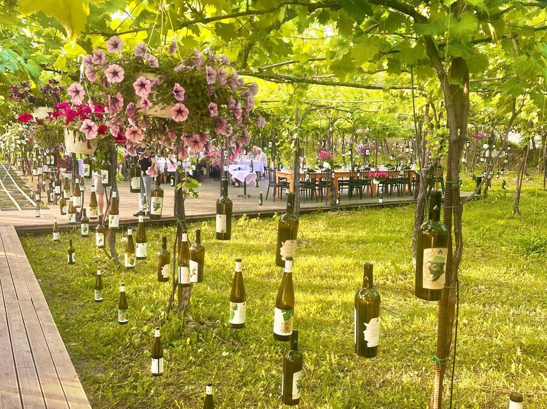 Alpeta Agrotourism & Winery-培拉特必去景点