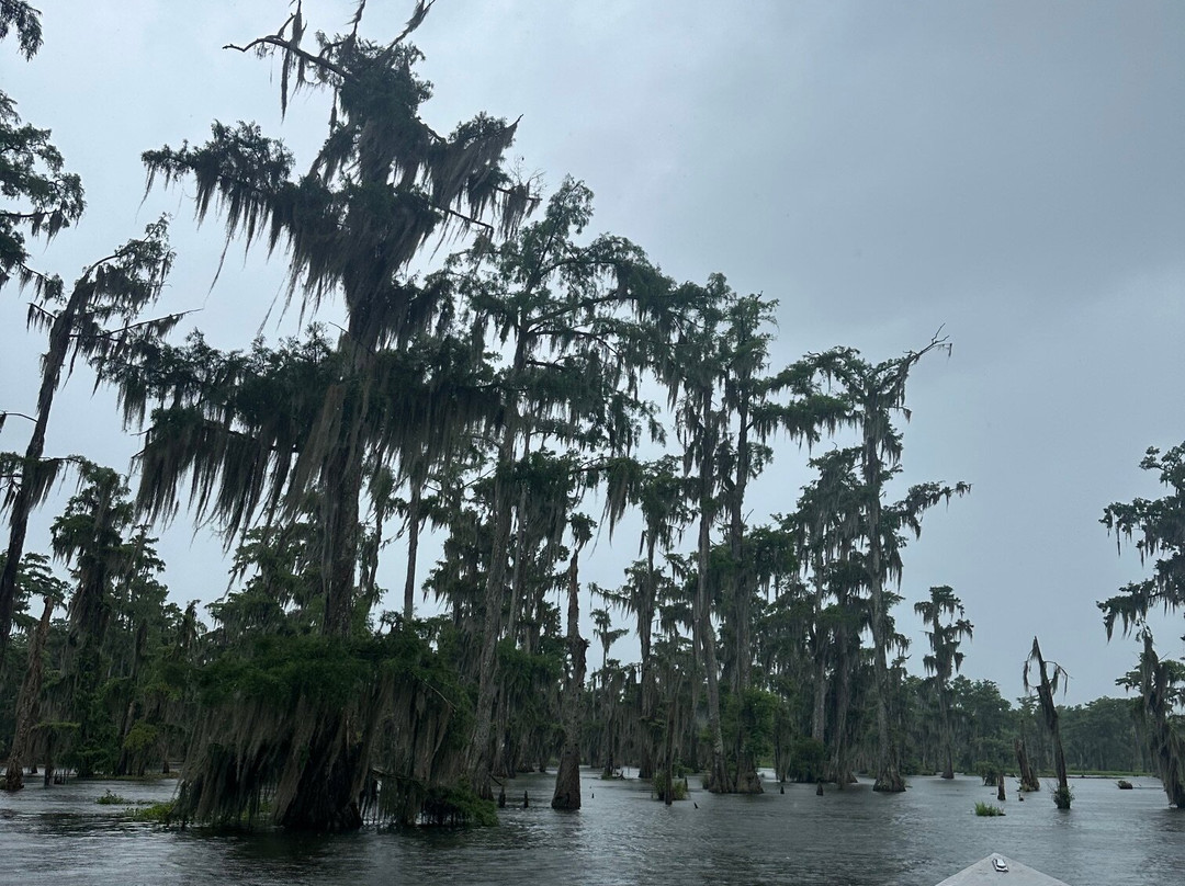 Cajun Country Swamp Tours-布里奥克斯桥必去景点