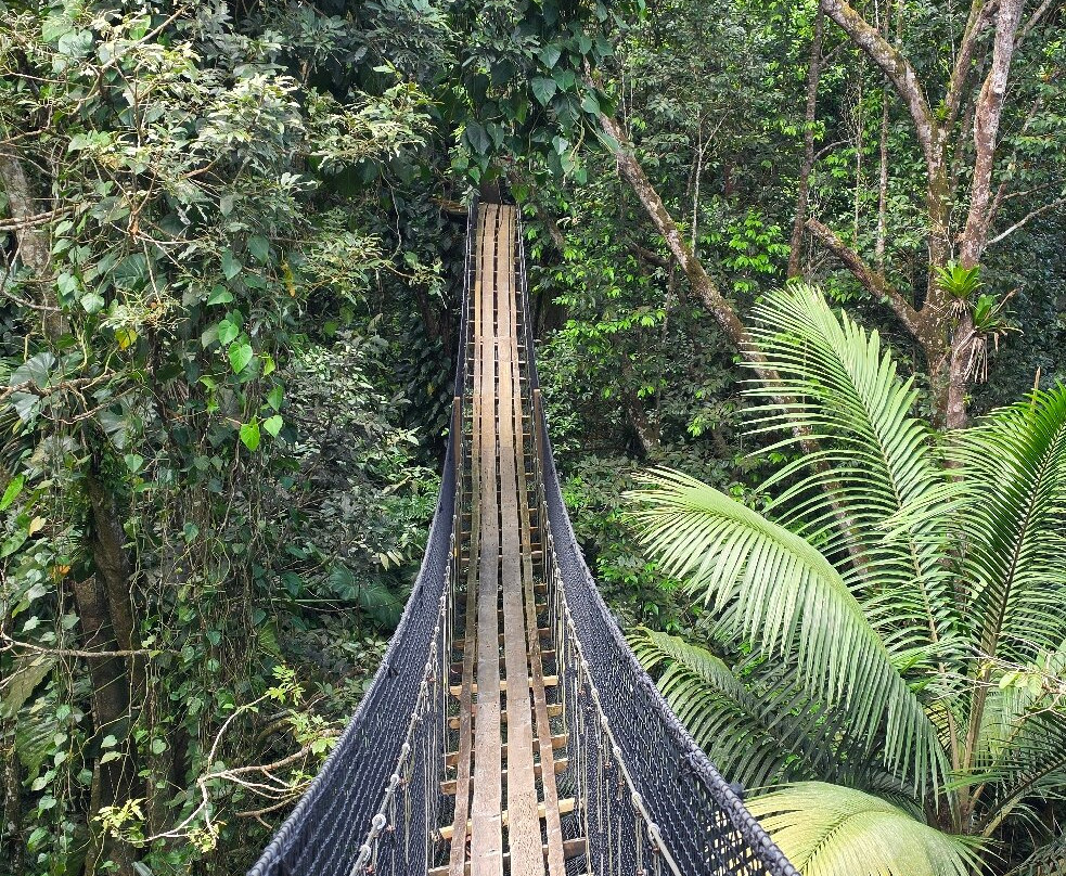 Zoo De Guadeloupe Au Parc Des Mamelles-Bouillante必去景点