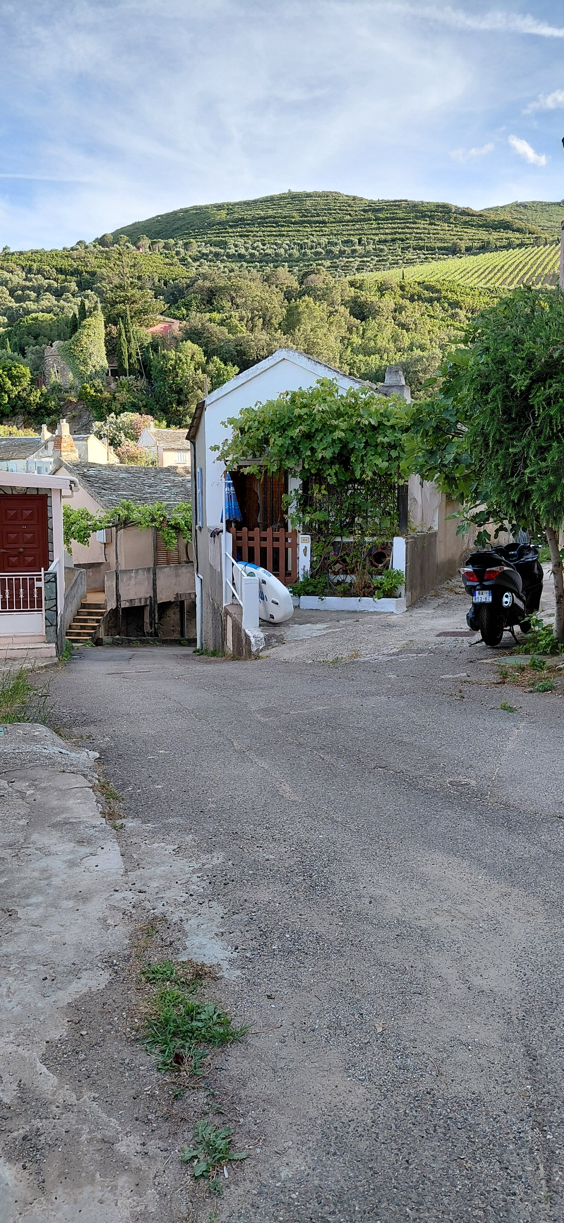 尤帕特利亚库酒店-旅行者