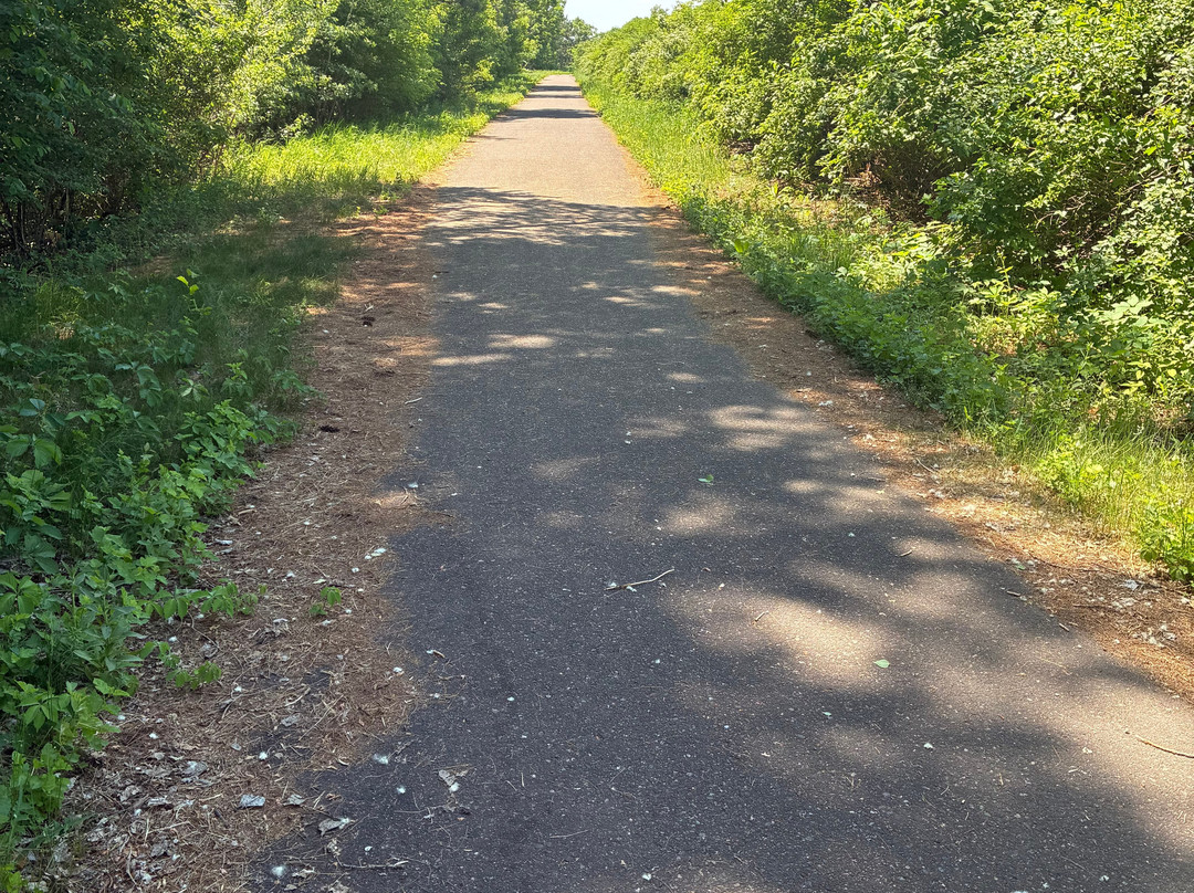 Lake Wissota State Park-奇珀瓦福尔斯必去景点