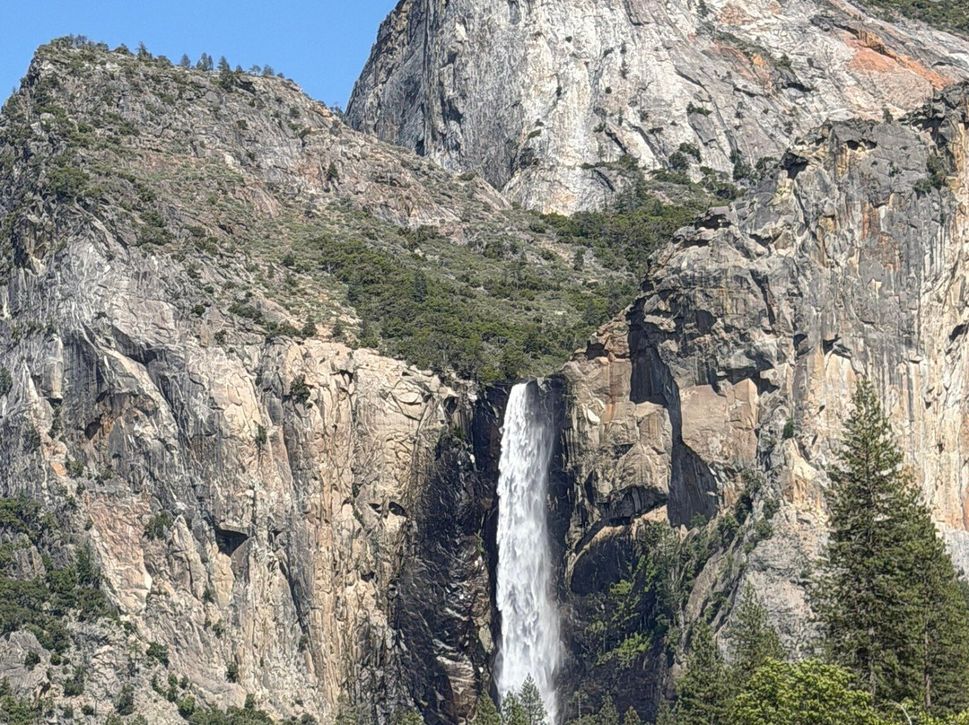 Yosemite 360 Tours-菲什营必去景点