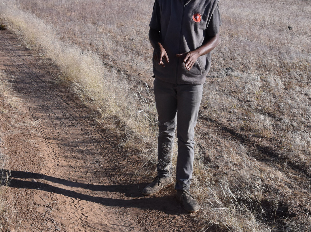 Twyfelfontein Elephant Drives-Palmwag必去景点