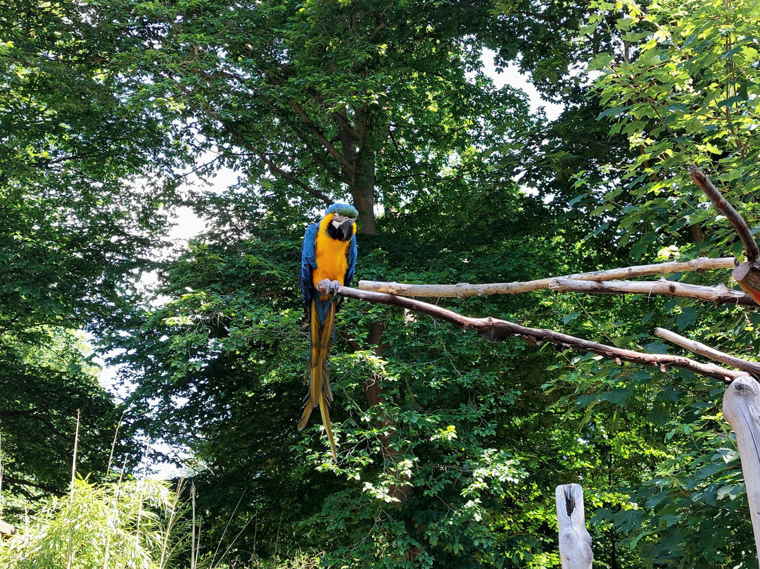 Tierpark Zittau-Zittau必去景点