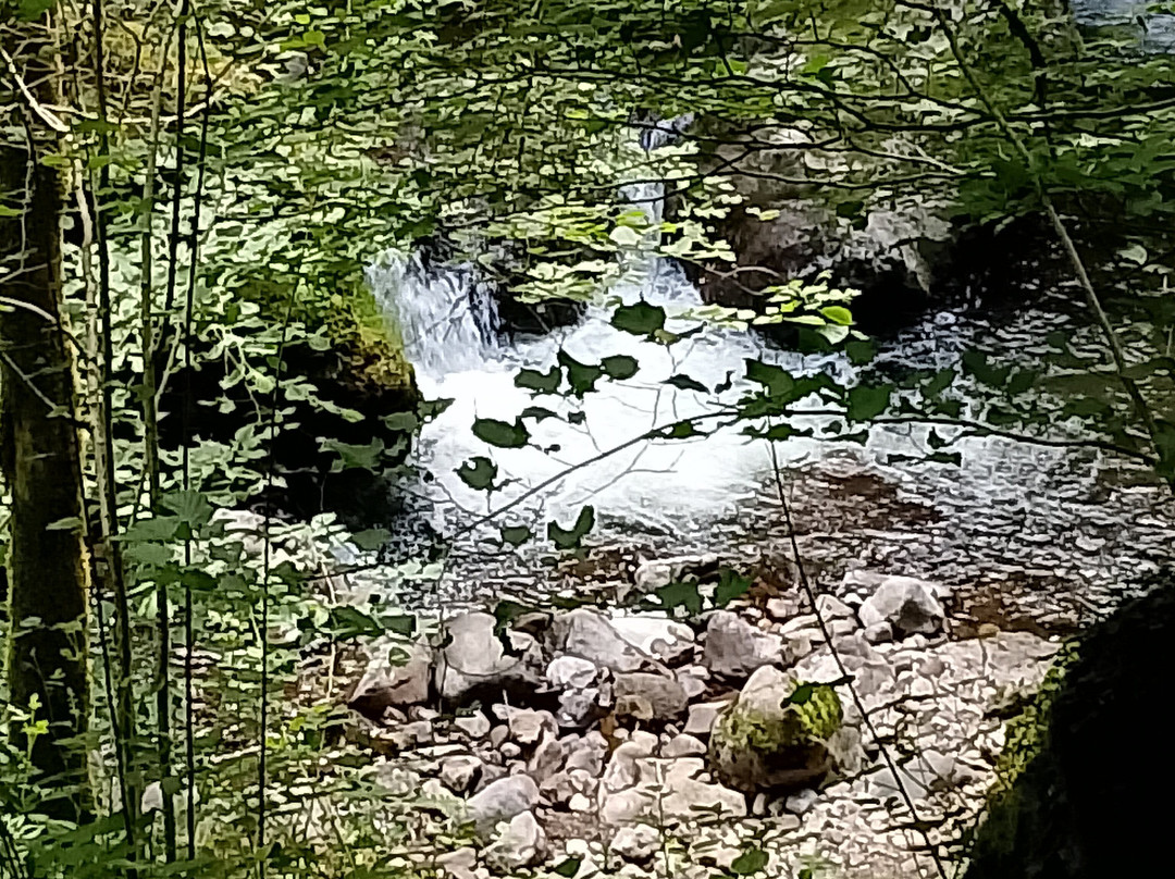 Pas de Cère-Vic-sur-Cere必去景点
