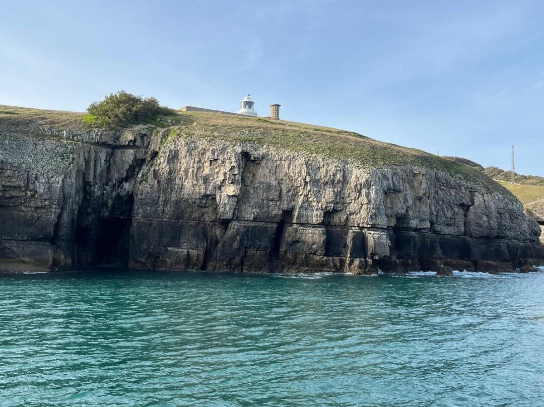 Birds Of Poole Harbour Events-普尔必去景点