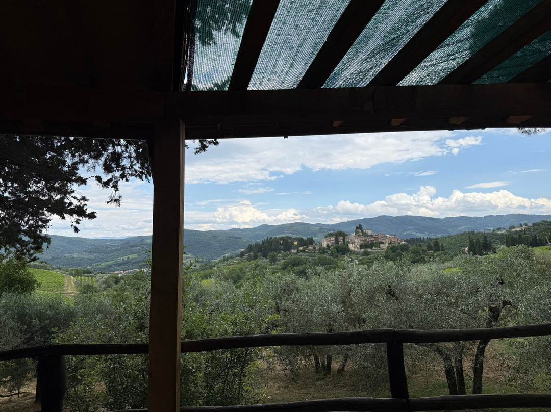 Podere Bucine Winery-格雷韦伊恩基亚恩蒂必去景点