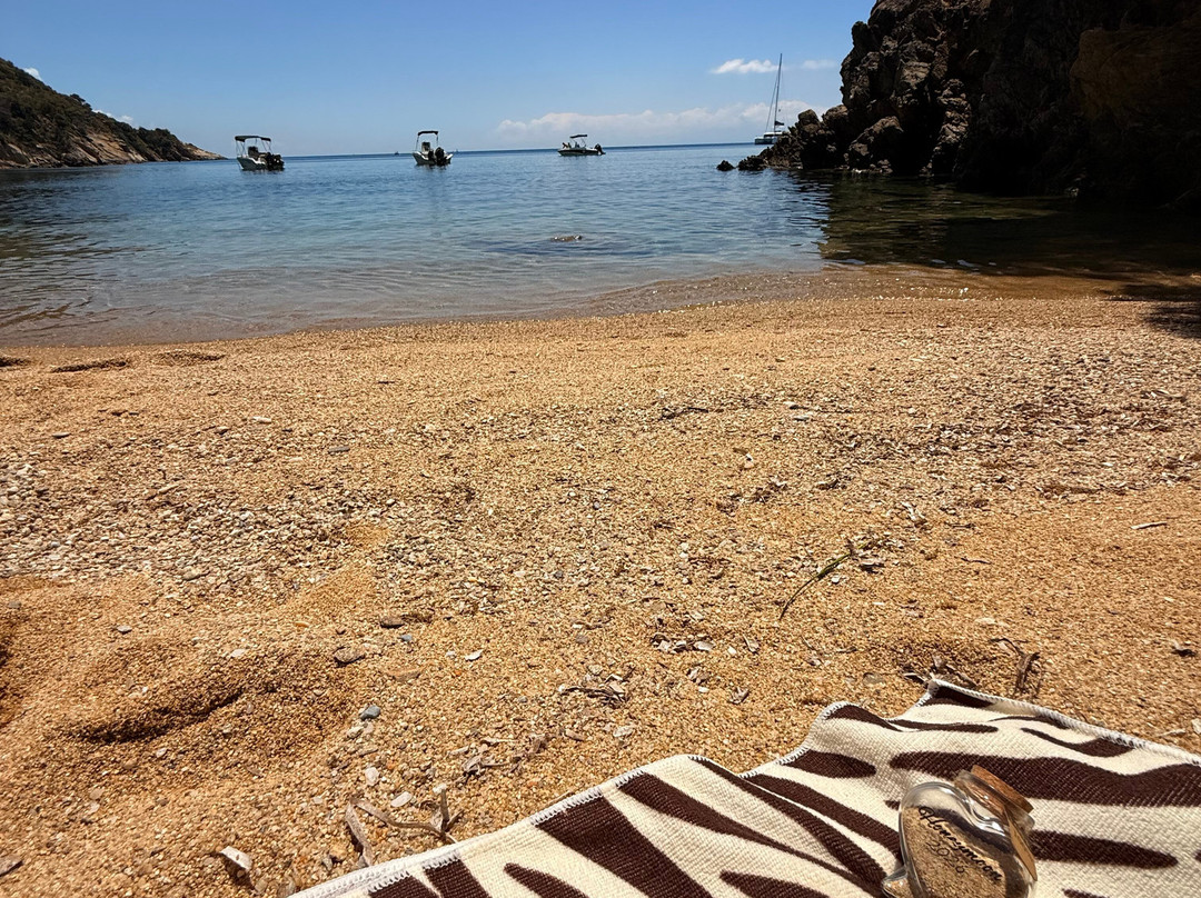Diamandi Beach-斯亚索斯必去景点