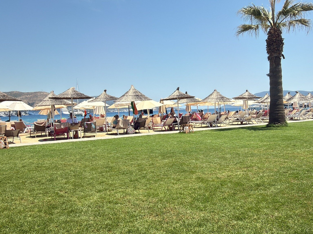 阿加亚博德鲁姆 +16限成人（原博德鲁姆普瑞弗）主图