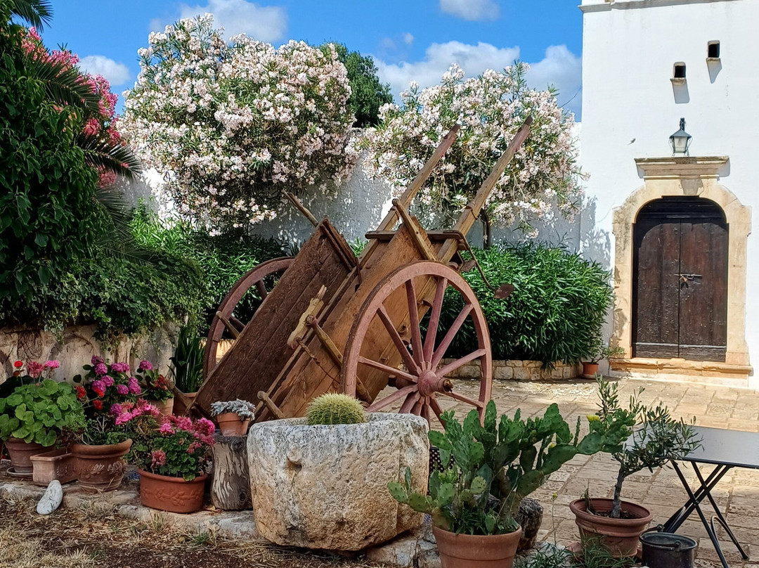 Masseria Brancati-奥斯图尼必去景点