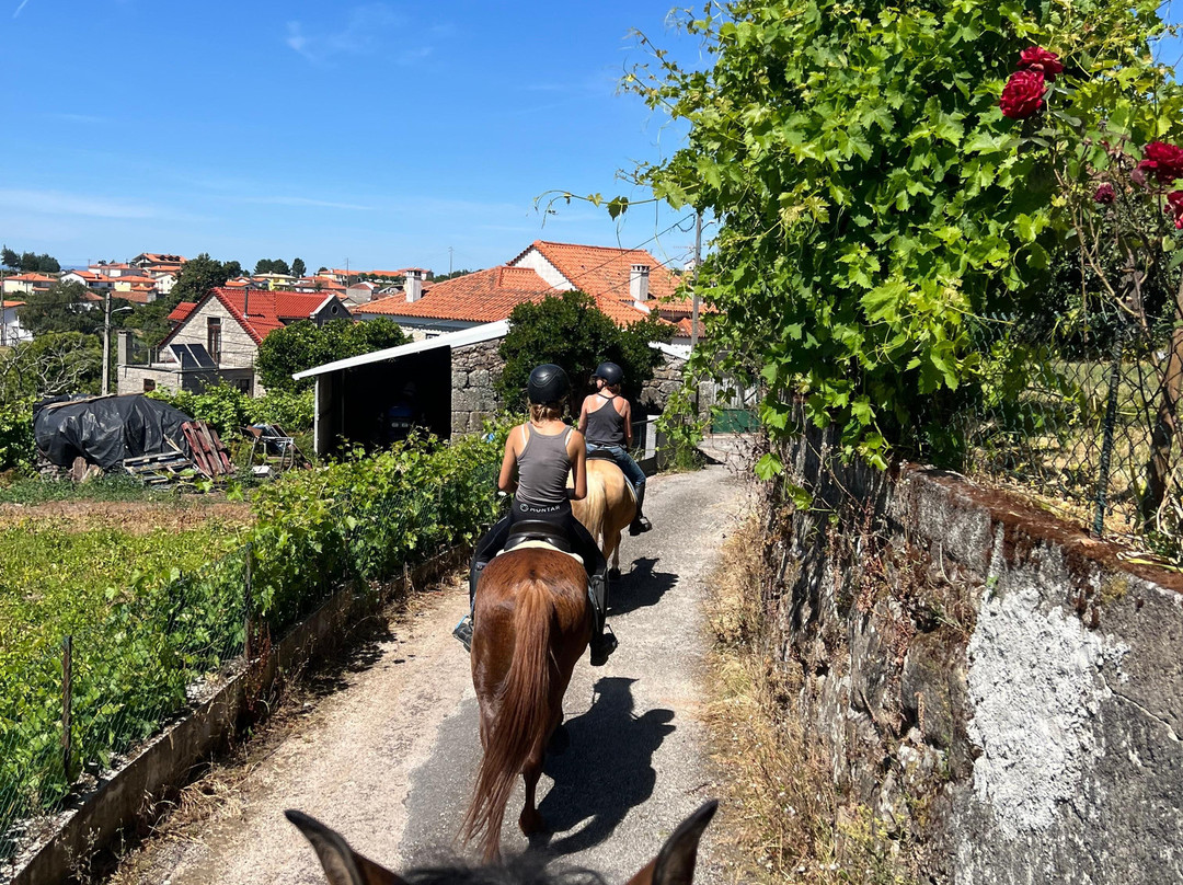 ATV & Horse Tours Central Portugal-Nogueira do Cravo必去景点