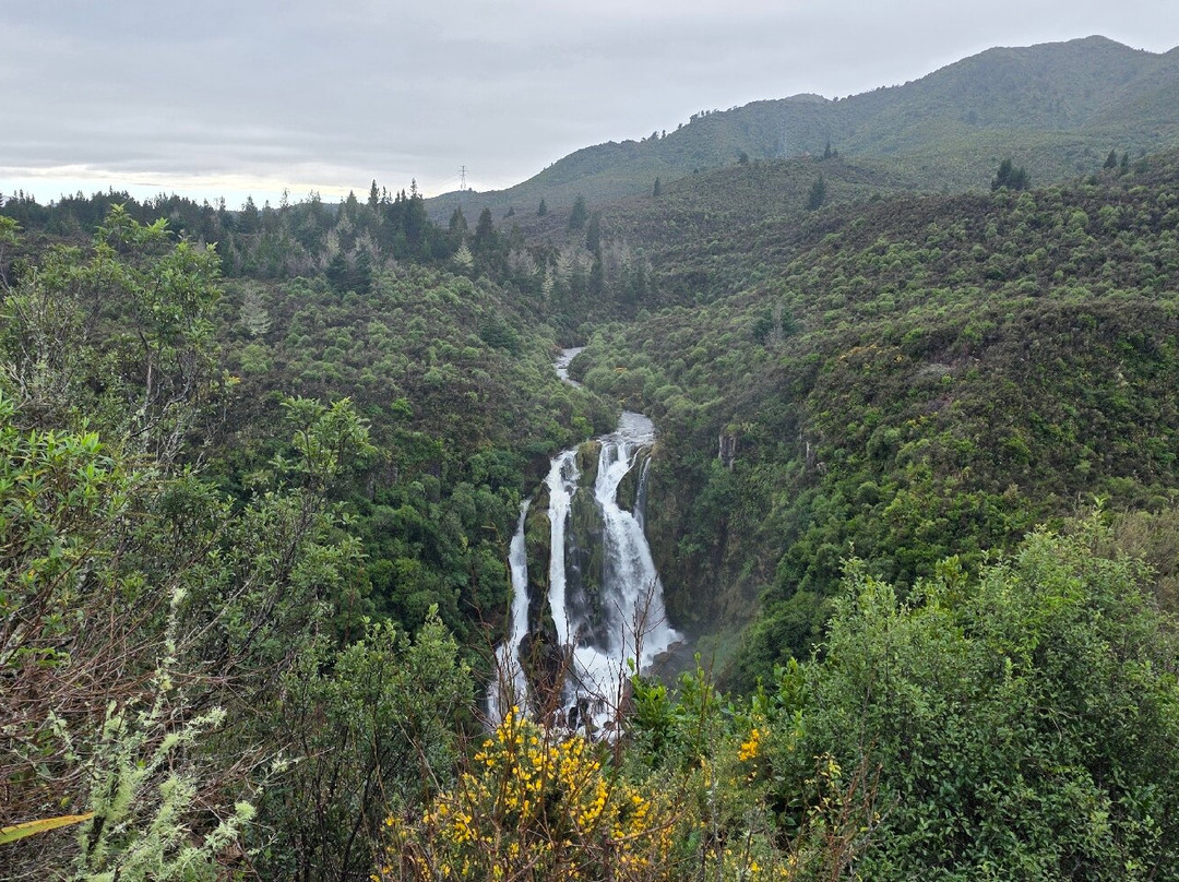 Waipunga Falls-怀卡托地区必去景点