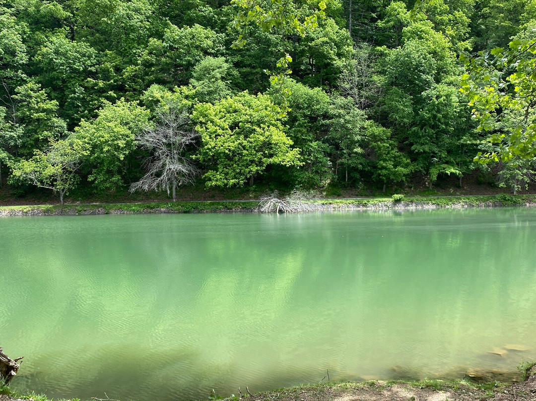 Steele Creek Park-布里斯托尔必去景点