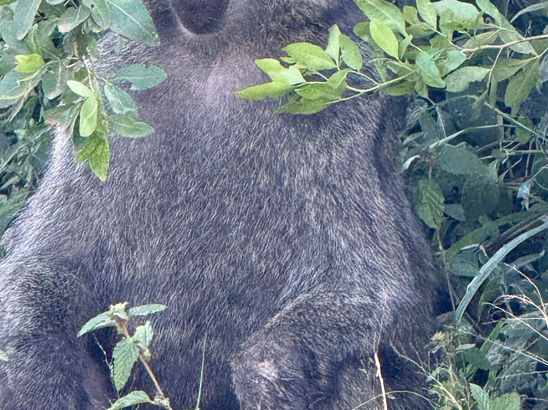 Lake Mburo National Park-Mbarara必去景点