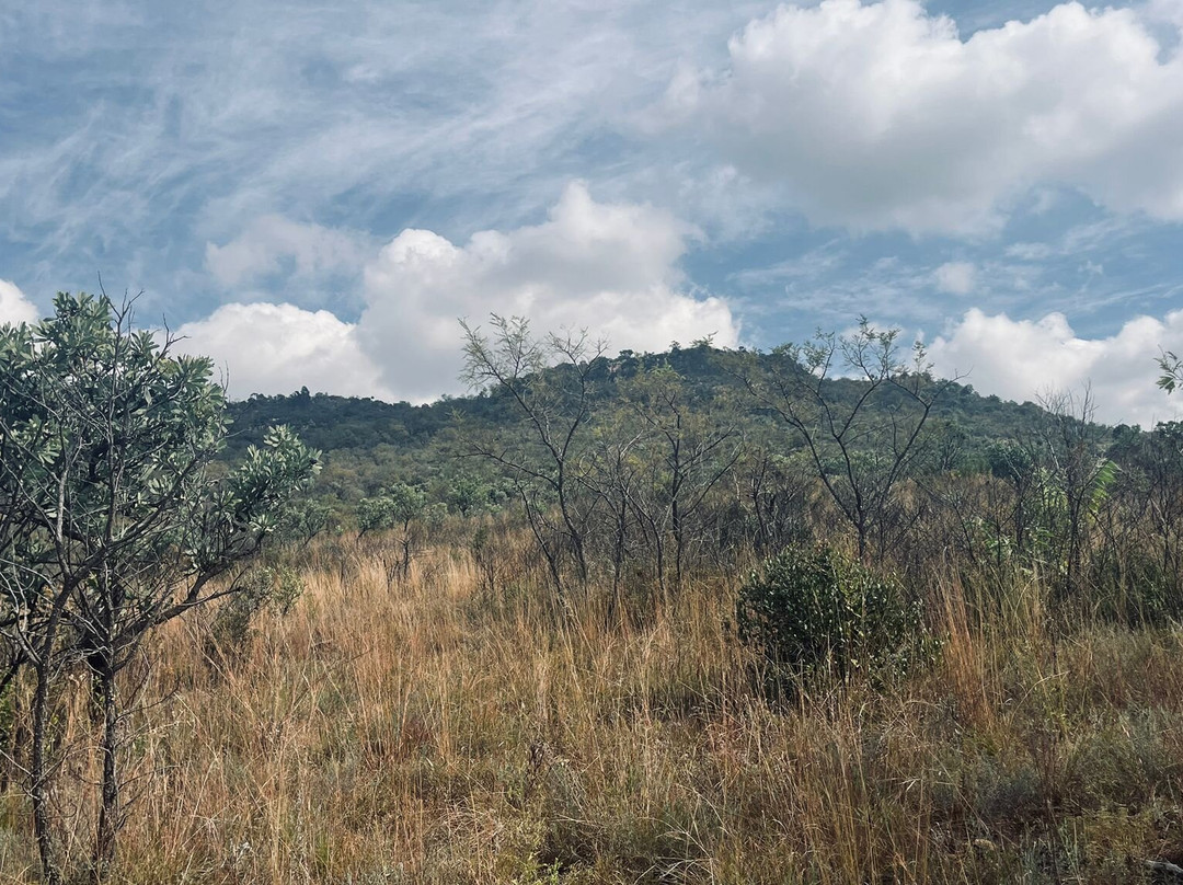 Walter Sisulu National Botanical Gardens-鲁德普特必去景点