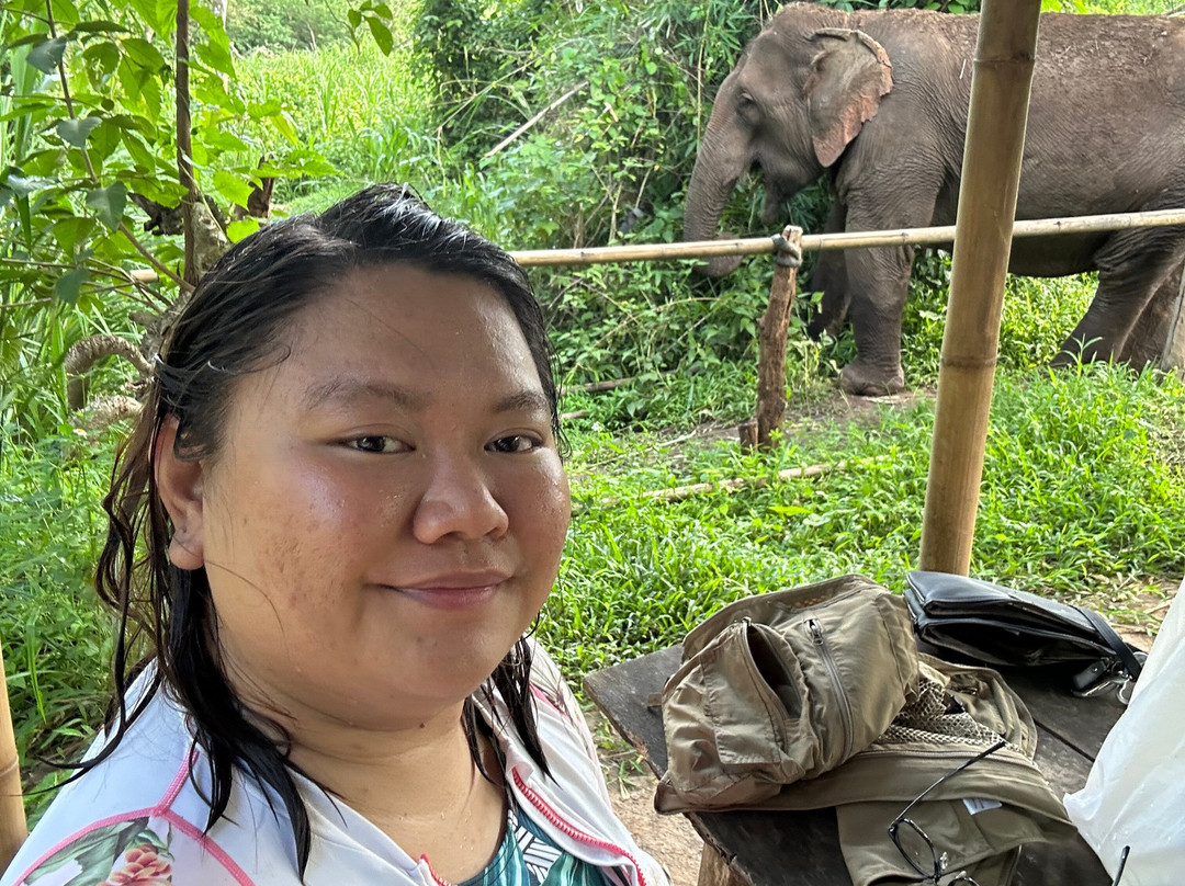 Elephant Sanctuary Care Park-清迈必去景点